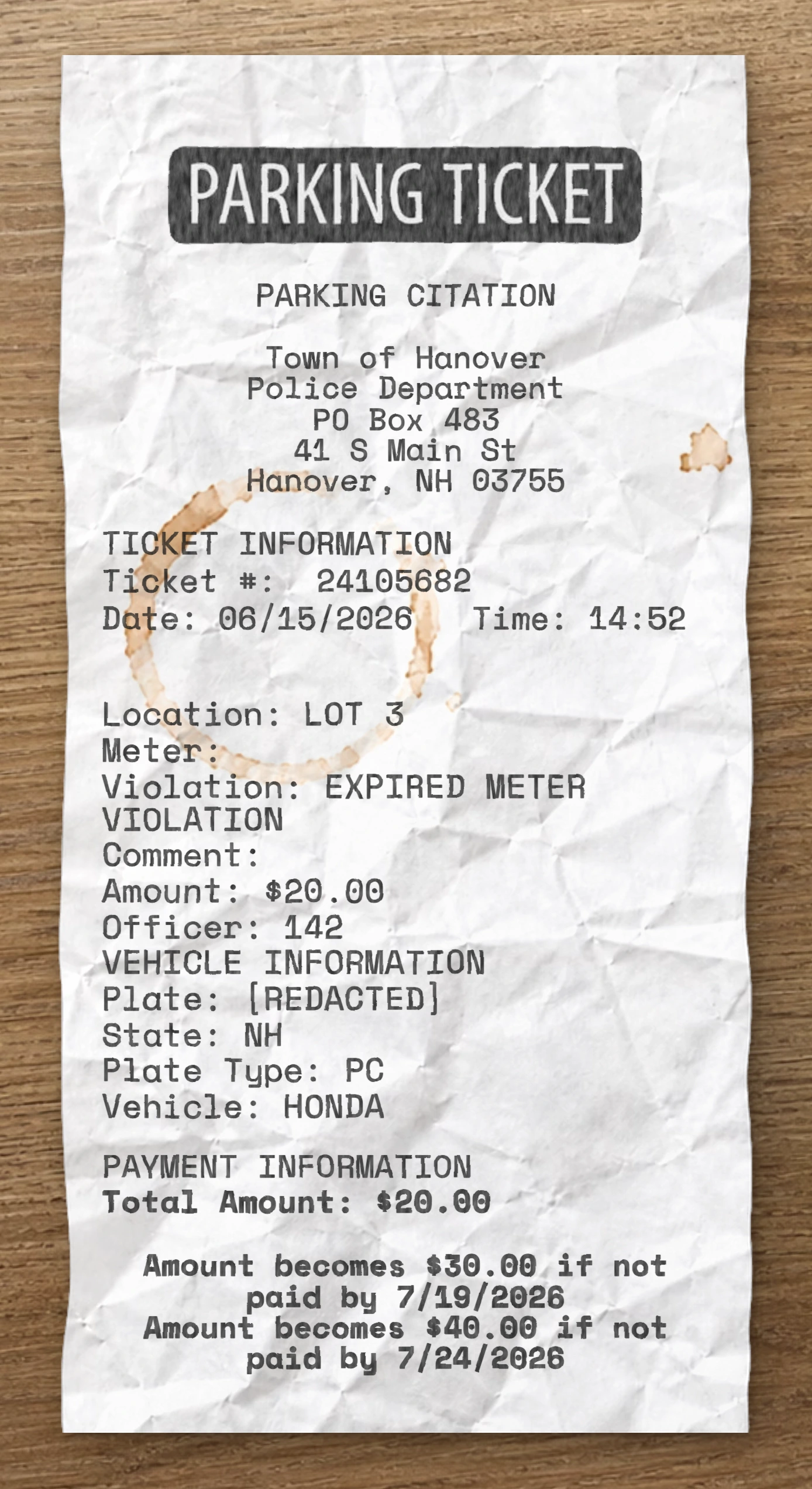 Parking Ticket receipt preview